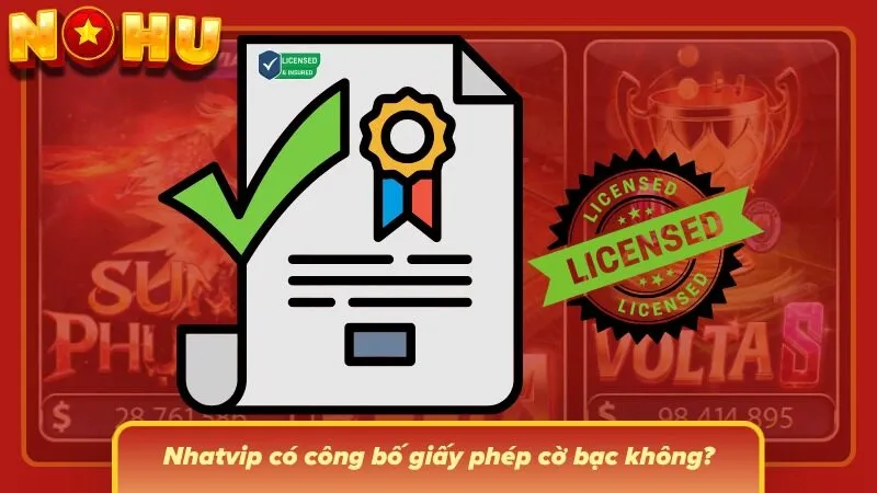 Khu vực thông tin ở trang chủ hiển thị các chi tiết liên quan đến giấy phép